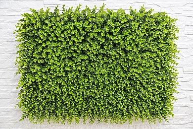 《使命召唤18：先锋》多人BETA已经出现了外挂